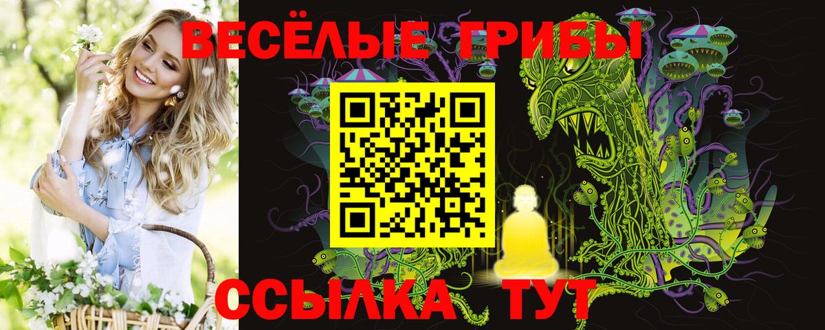 Псилоцибиновые грибы Psilocybine cubensis Юрга